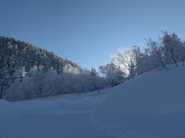 Lumière matinale du soleil et le givre