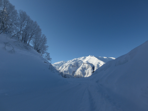 Lumière matinale du soleil et le givre