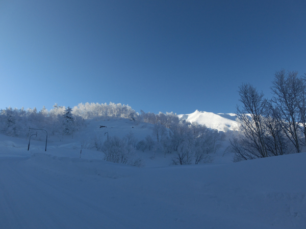 Morning sunlight and hard rime