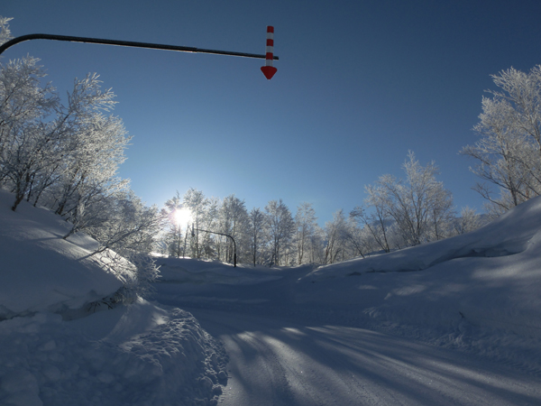 Morning sunlight and hard rime