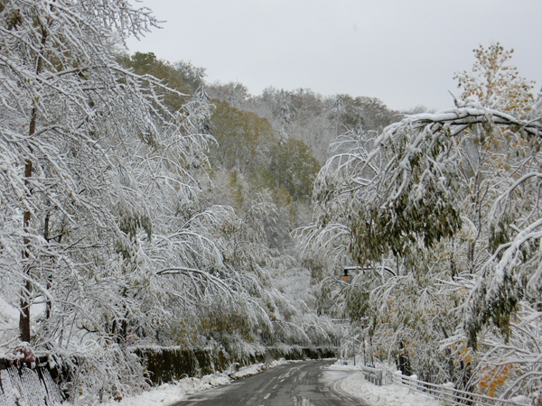Bent trees