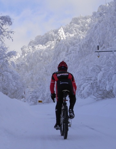 K avec le givre