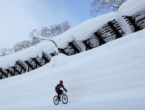 Anti-avalanche fences