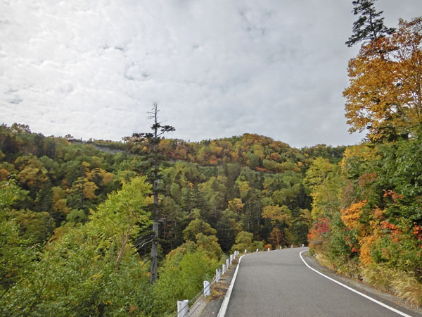 Feuilles d'automne