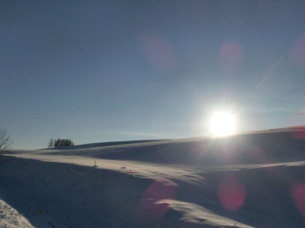 Colline a Biei