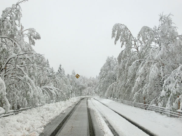 Neige hors saison