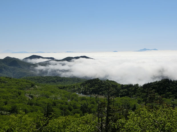 Sea of clouds