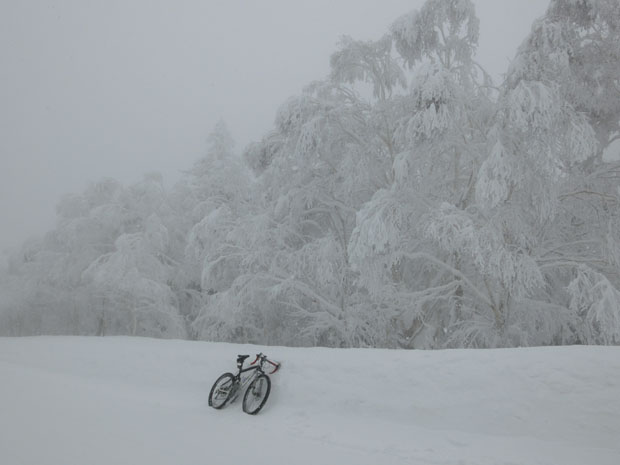 K's bike