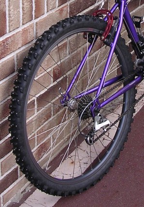 Mudmad rear