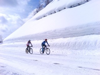 Barrières para-avalanches