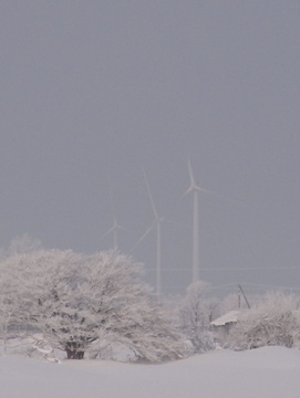 Windturbines