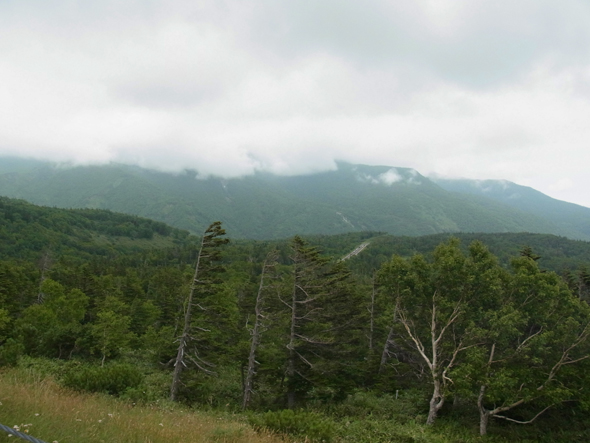 Route nationale Trans-Shiretoko