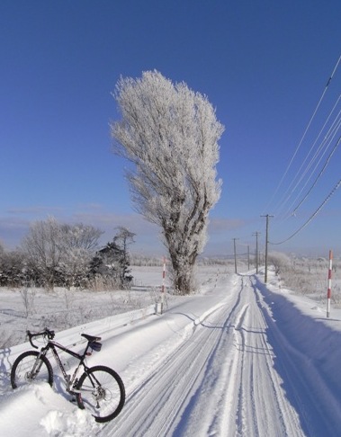 Hard rime in Yamaguchi