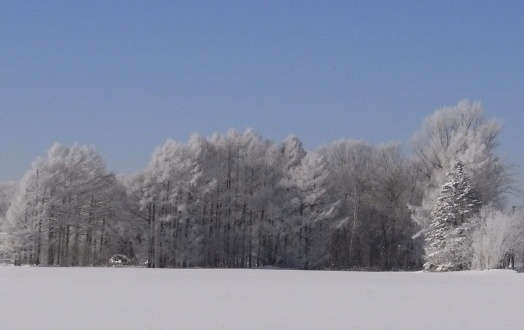 Givre