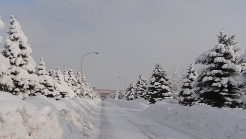 Carretera en Ainosato