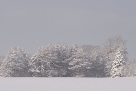 Givre