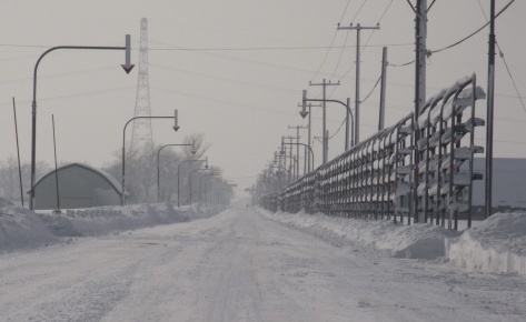 Snow fences