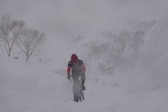 Niseko