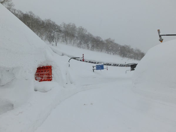 Niseko