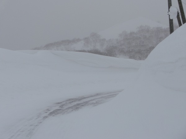 Niseko