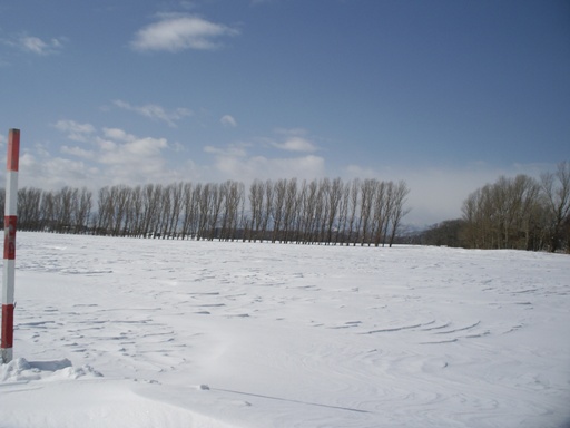 View of the Mt.Teine from Takuhoku