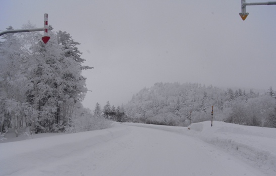 Straße zum Mt.Tokachidake