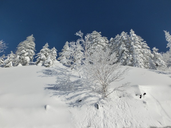 Ciel bleu profond et le givre