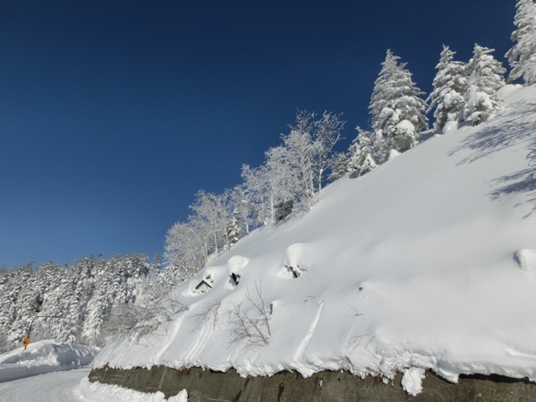 Ciel bleu profond et le givre